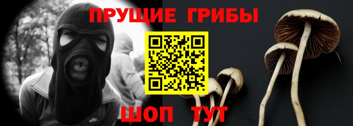 Сафоново  Псилоцибиновые грибы ЛСД  Вход с VPN 